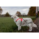 Non-stop dogwear Ramble harness pinkki/harmaa
