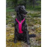 Dog Copenhagen Walk Pro 3.0 valjaat pinkki