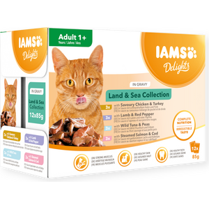IAMS Delights Land & Sea Collection kastikkeessa kissan märkäruoka 12 x 85 g