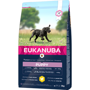 Eukanuba Dog Puppy Large koiran kuivaruoka 15 kg